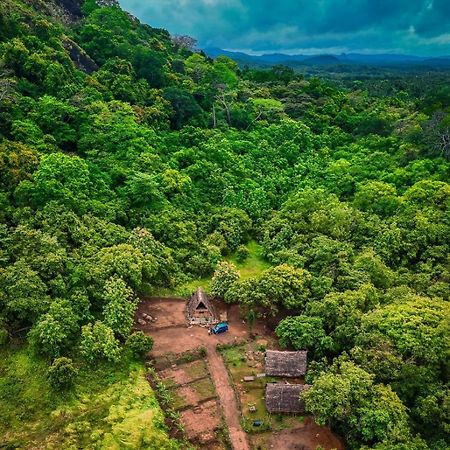 The Forest Edge Resort ダンブッラ エクステリア 写真