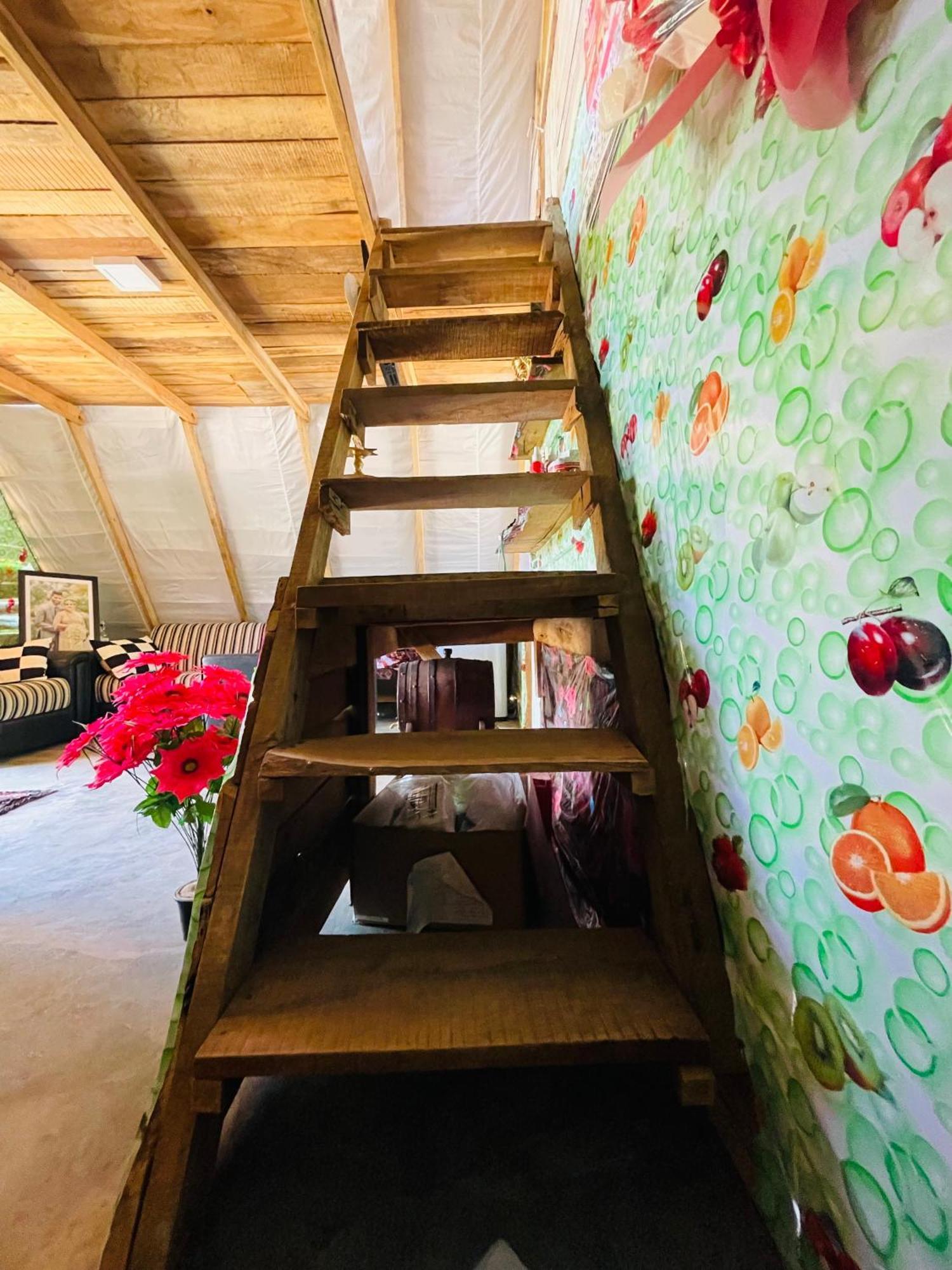 The Forest Edge Resort ダンブッラ エクステリア 写真