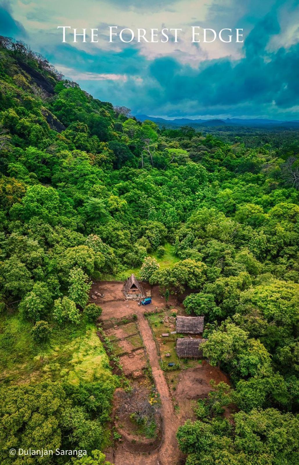 The Forest Edge Resort ダンブッラ エクステリア 写真