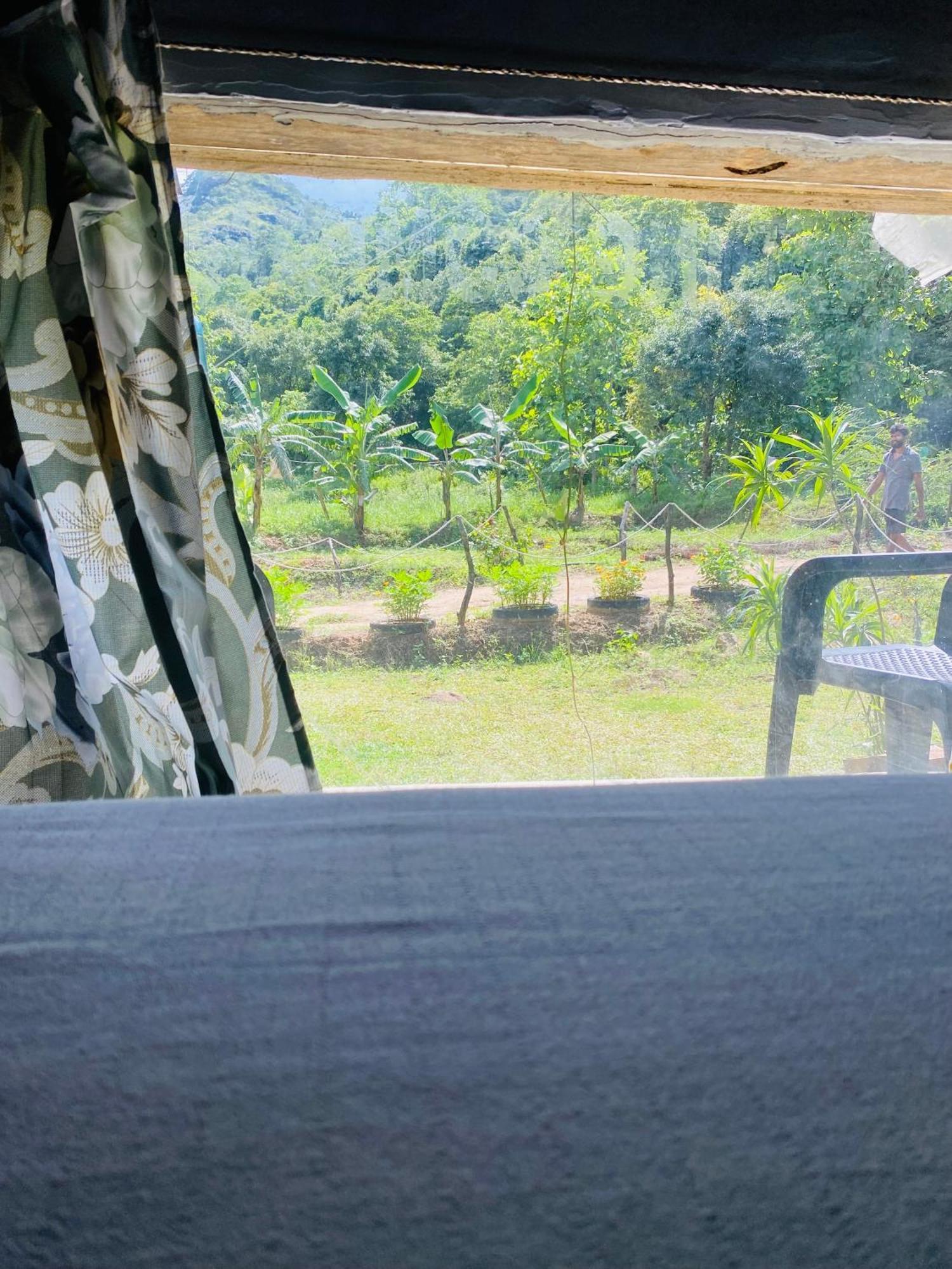 The Forest Edge Resort ダンブッラ エクステリア 写真