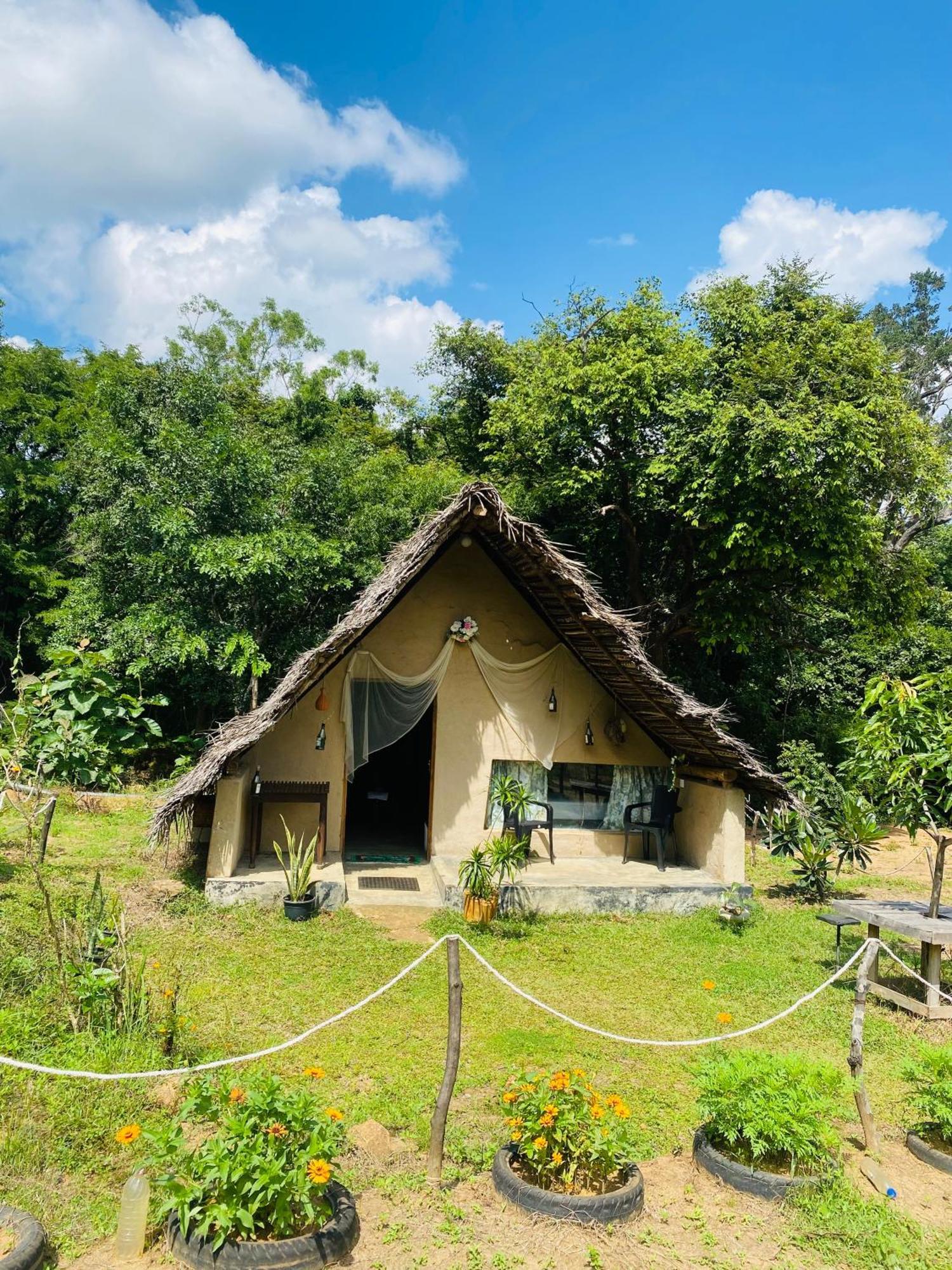 The Forest Edge Resort ダンブッラ エクステリア 写真